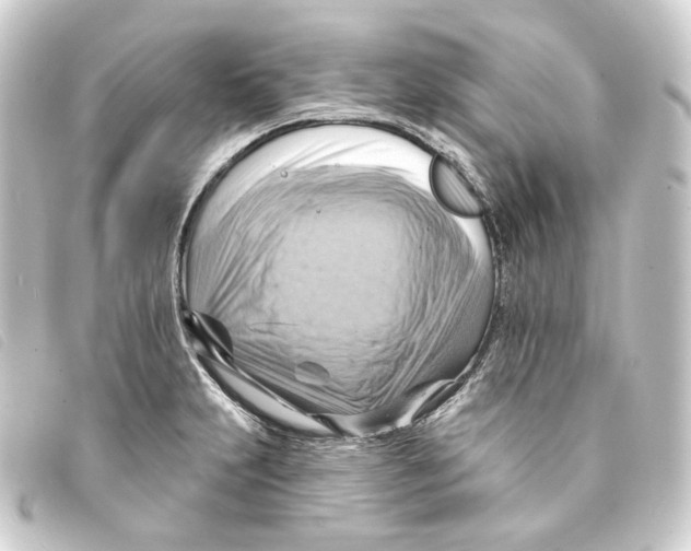 X0000093221231200710241210