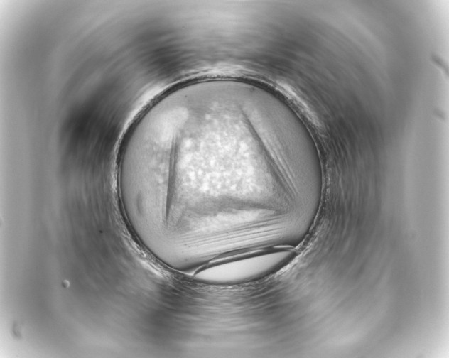 X0000093221232200710241210