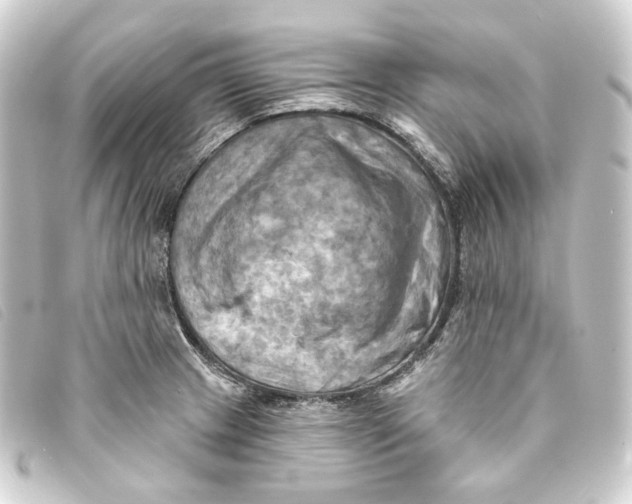 X0000093221233200710241210