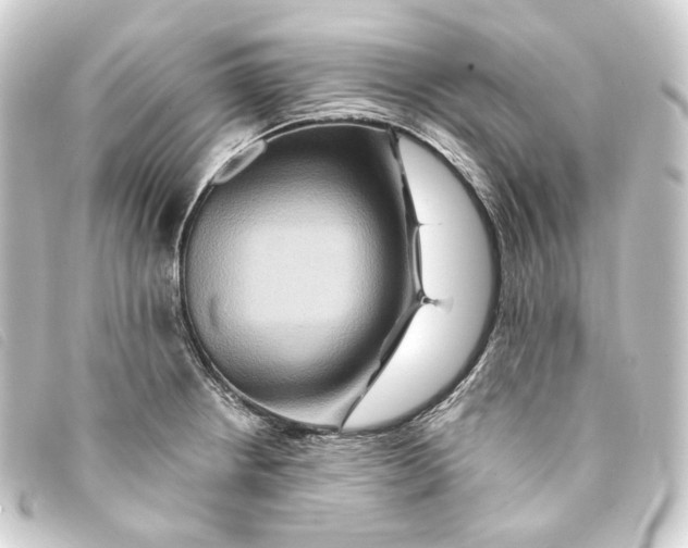 X0000093221234200710241210