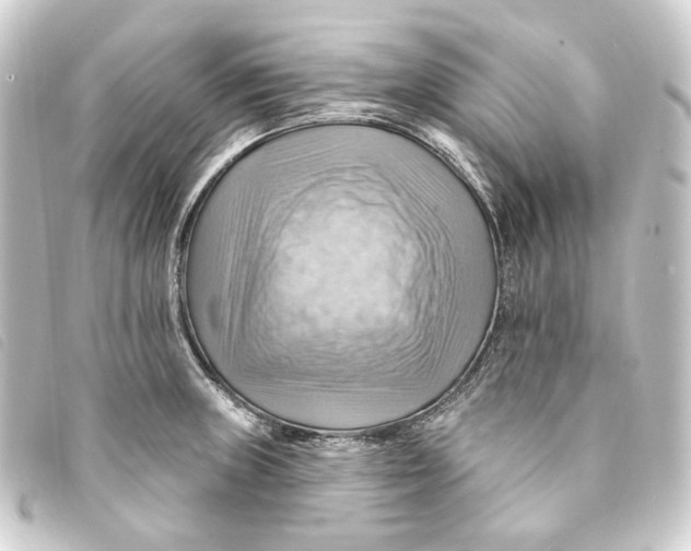 X0000093221235200710241210