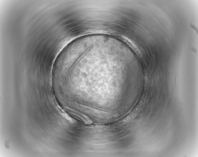 X0000093221236200710241210