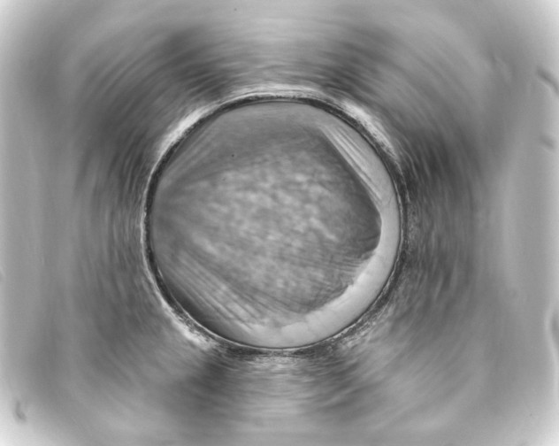 X0000093221237200710241210