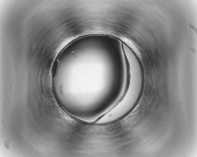 X0000093221238200710241211