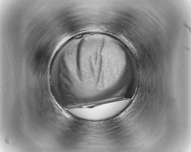 X0000093221240200710241211