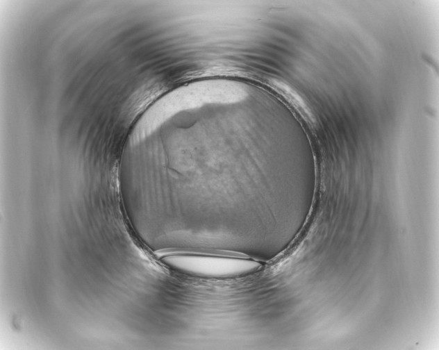 X0000093221241200710241211