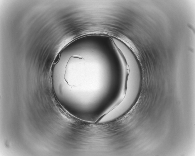 X0000093221242200710241211