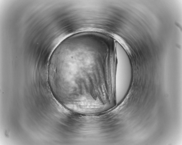 X0000093221244200710241211