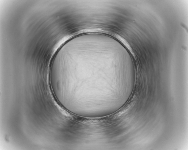 X0000093221245200710241211