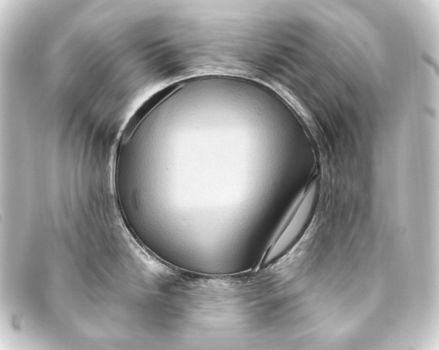 X0000093221246200710241211