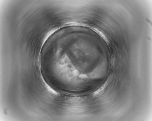 X0000093221247200710241211