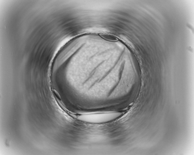 X0000093221248200710241211