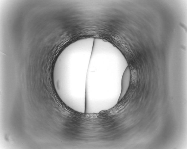 X0000093221249200710241210