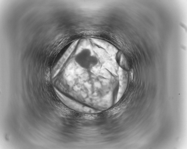 X0000093221251200710241210