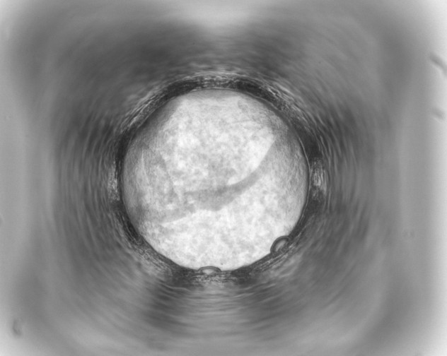 X0000093221252200710241210