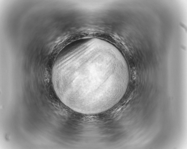 X0000093221253200710241210