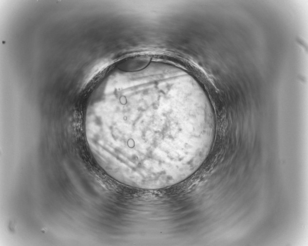 X0000093221255200710241210