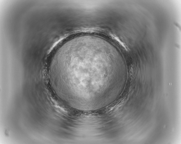 X0000093221256200710241210