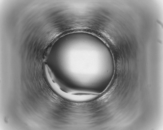 X0000093221257200710241210