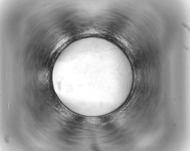 X0000093221258200710241210