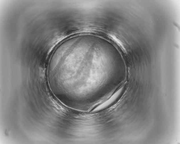 X0000093221260200710241210