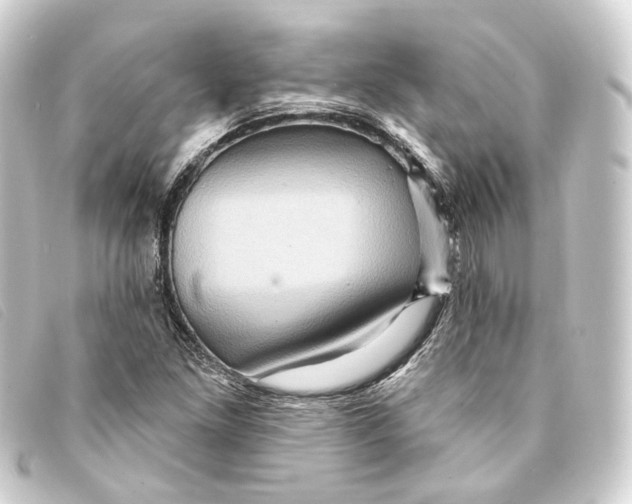 X0000093221261200710241210