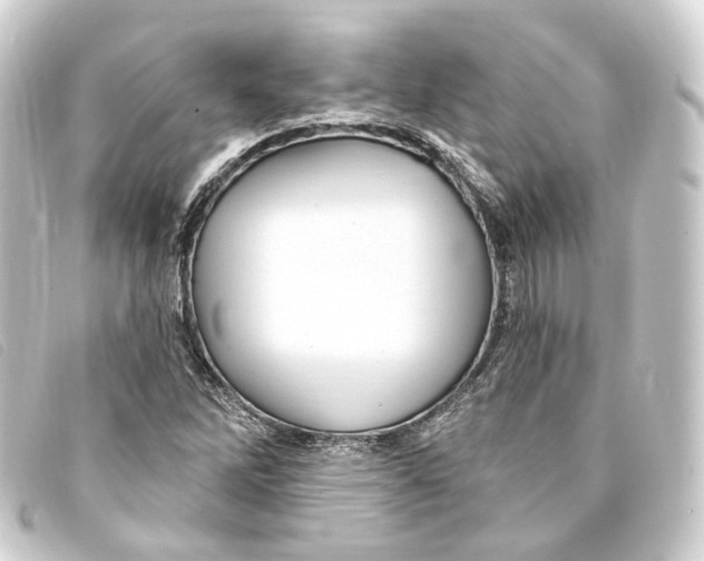 X0000093221262200710241210