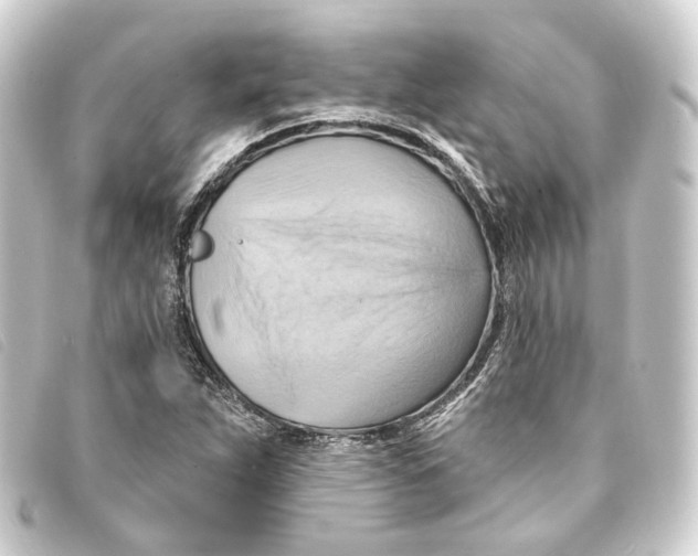 X0000093221263200710241210