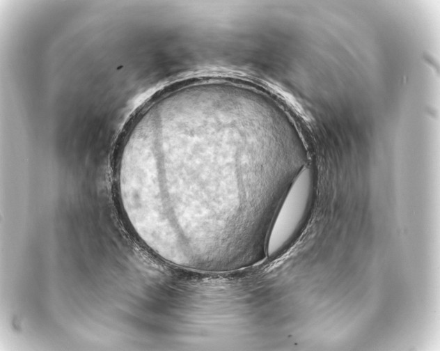 X0000093221264200710241210