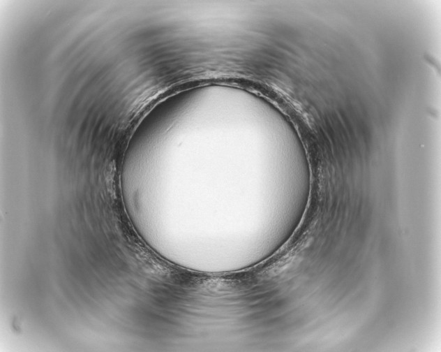 X0000093221265200710241210