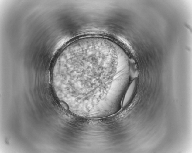 X0000093221267200710241210