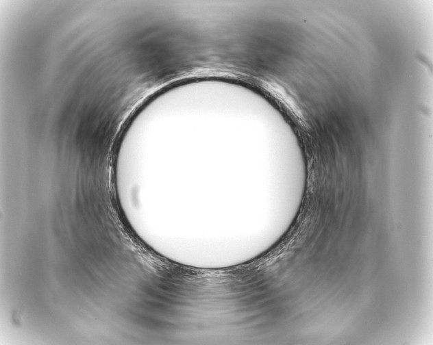 X0000093221268200710241210