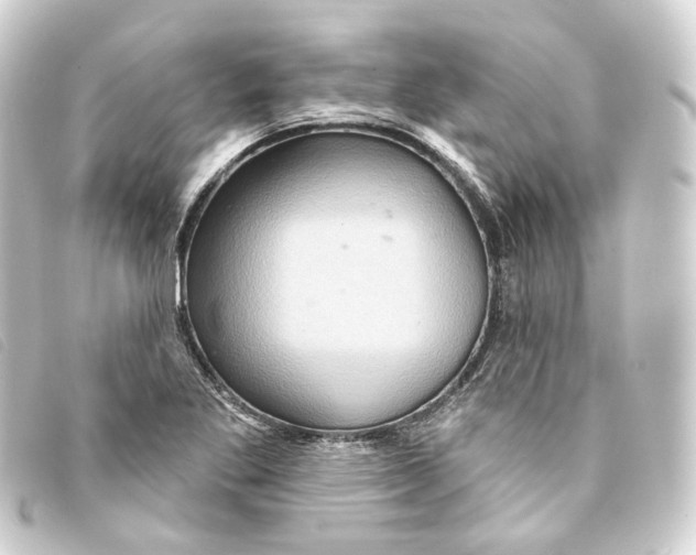 X0000093221269200710241210