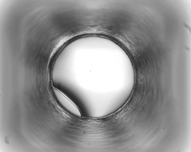 X0000093221270200710241210