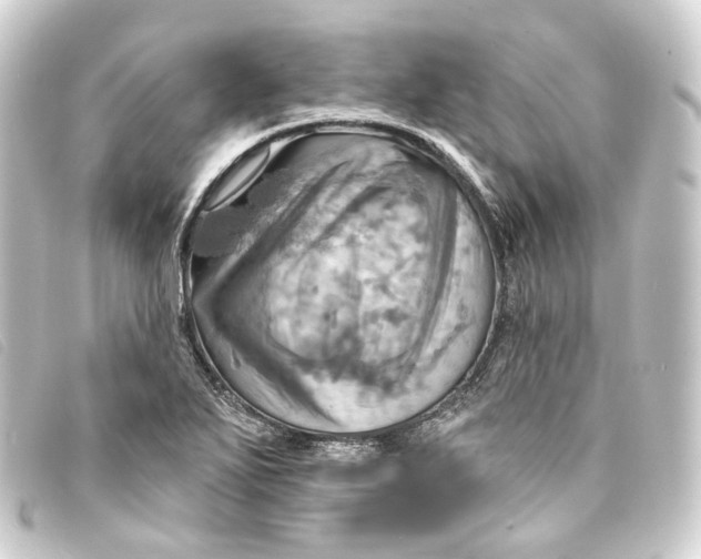 X0000093221271200710241210