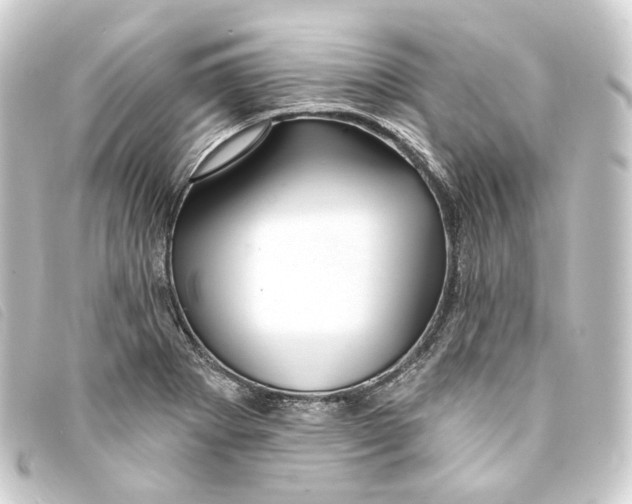 X0000093221273200710241210