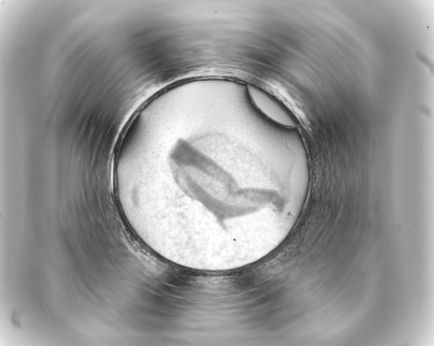 X0000093221276200710241210