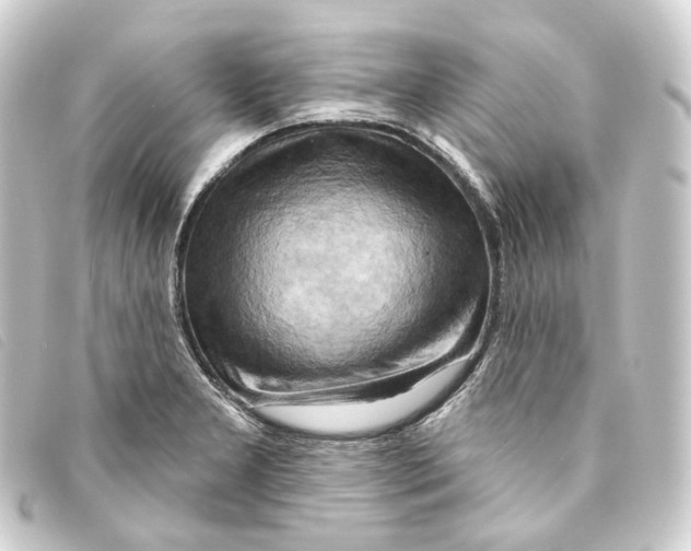 X0000093221277200710241210