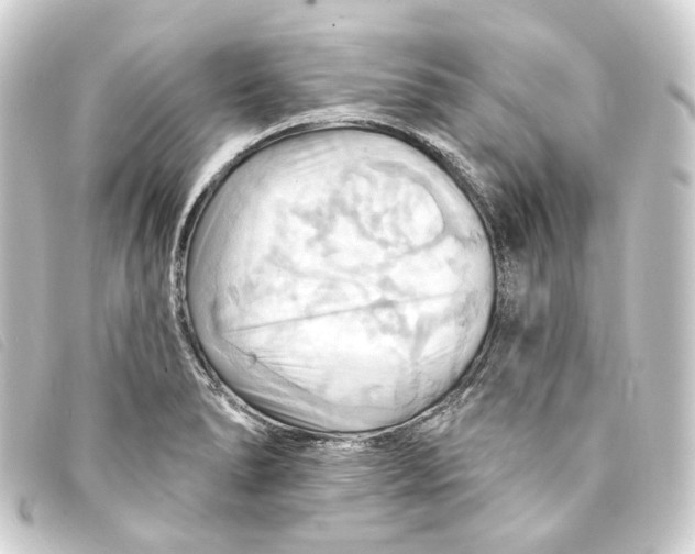 X0000093221278200710241210