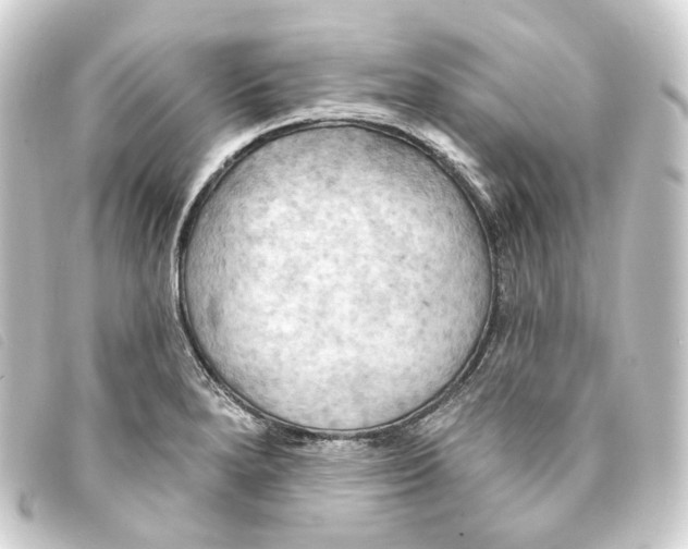 X0000093221280200710241210