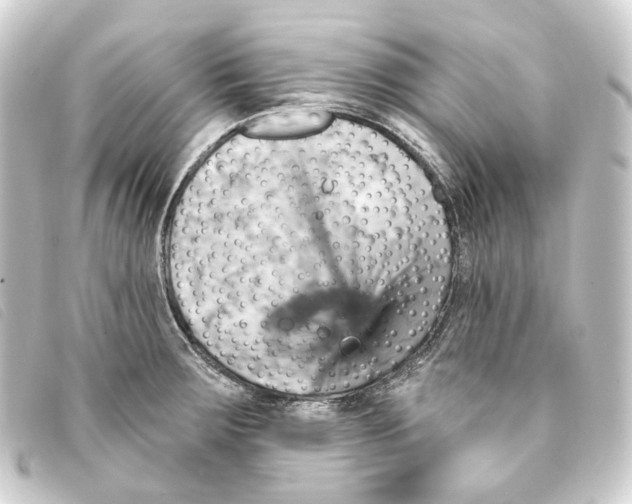 X0000093221283200710241210