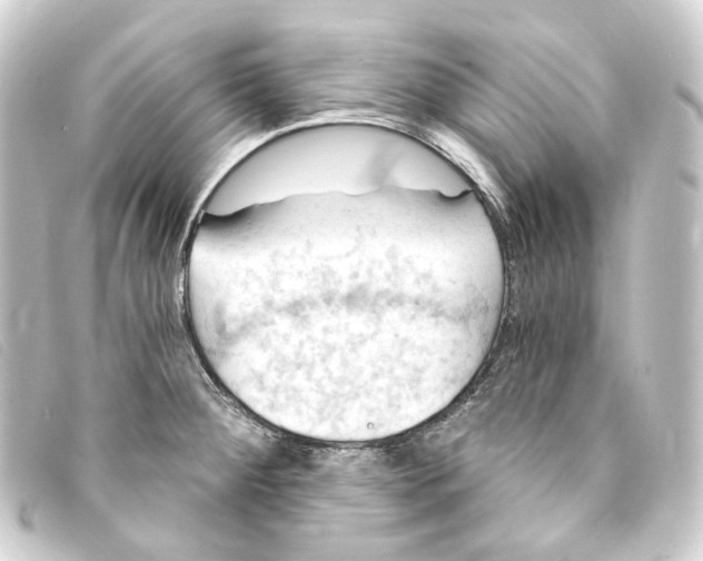 X0000093221284200710241210