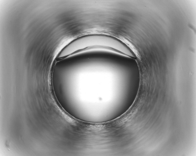 X0000093221285200710241210