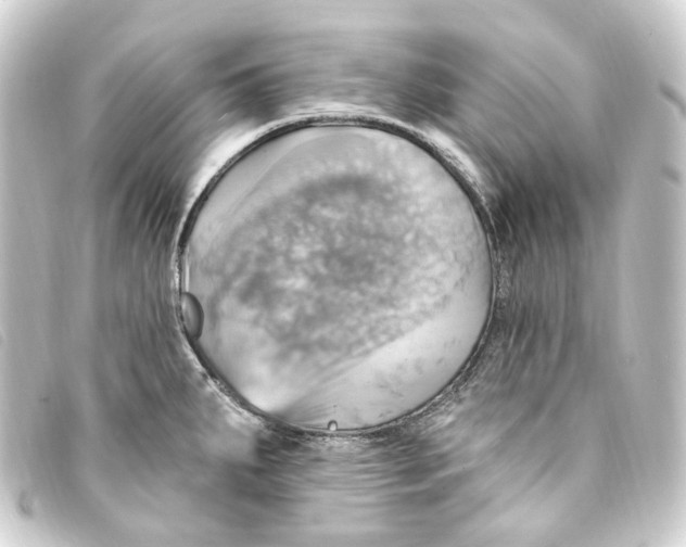 X0000093221287200710241210