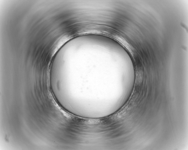 X0000093221290200710241210