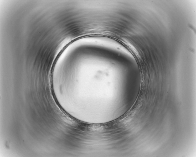 X0000093221291200710241210