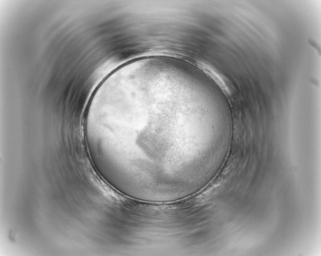 X0000093221292200710241210