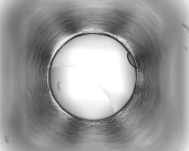 X0000093221295200710241210