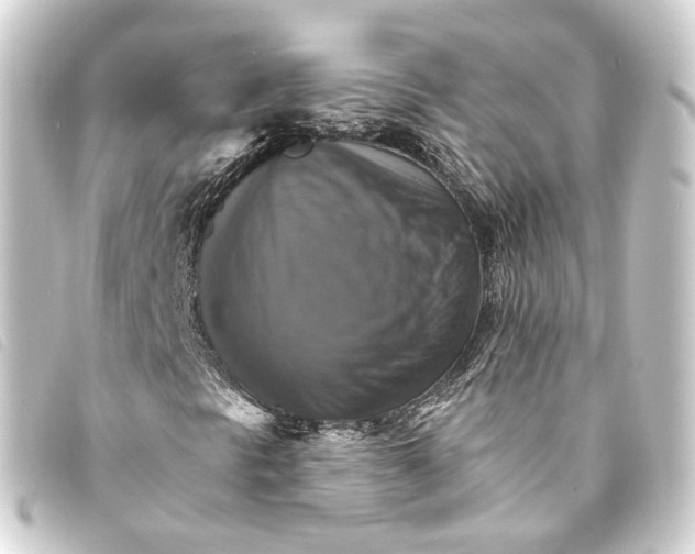 X0000093221297200710241209