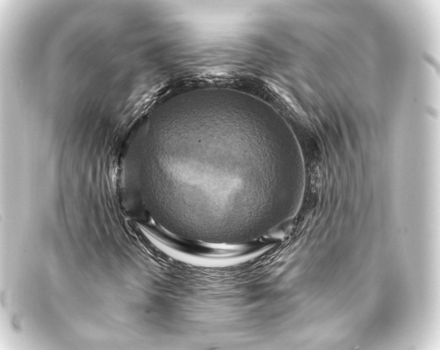 X0000093221298200710241209